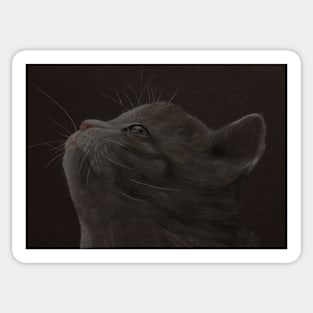 Kitten 2 Sticker